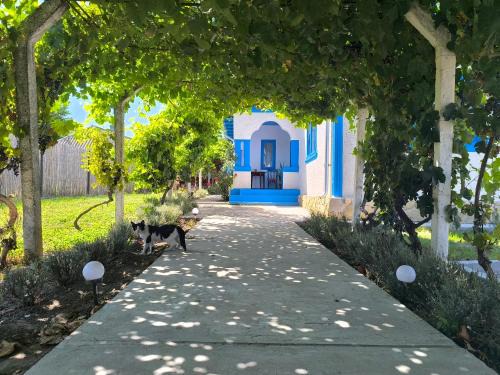 Murighiol House | Casa Traditionala Clisciova