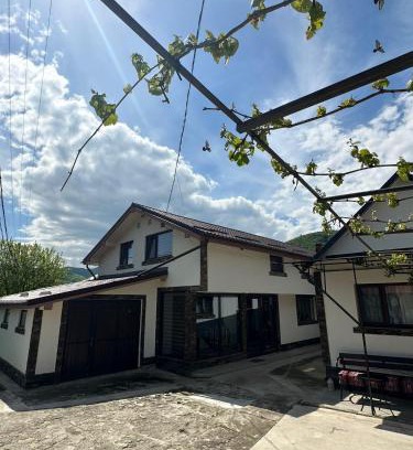 Tirgu Ocna House | Casa Tudor