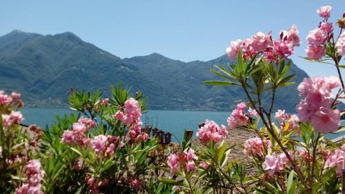 Lovere Old Town Apartment | Casa Vacanze da Graziella