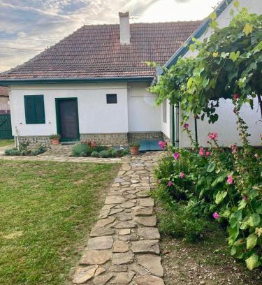 Arpasu de Sus House | Casa Veronica