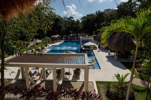Puerto Morelos Apartment | Casa YELLOWSTONE 2 pools HIDDEN JUNGLE GEM PUERTO MORELOS MEXICO