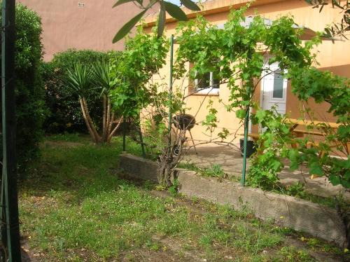 San-Gavino-di-Carbini House | Casapiana