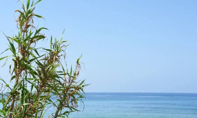 Zahora Cottage | ♡Casara 1♡ Beautiful Loft House♡ Zahora Beach♡