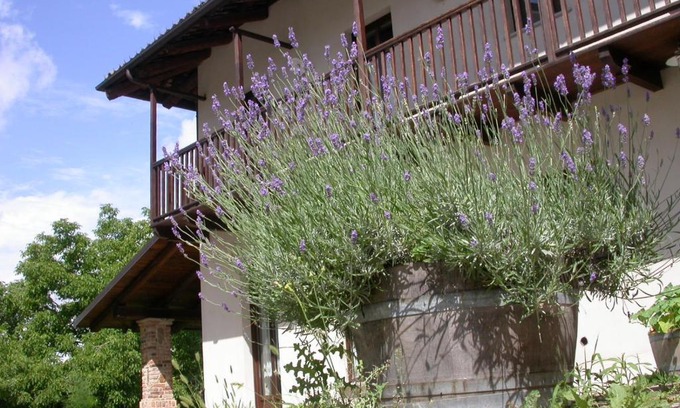 Pocapaglia Bed & Breakfast | Cascina Creusa B&B