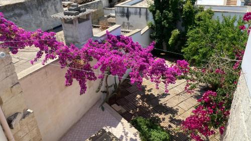 Lizzanello Apartment | Celi Blu Apartments