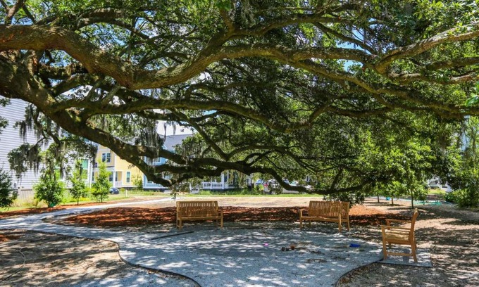 North Charleston House | Celtic Carriage House