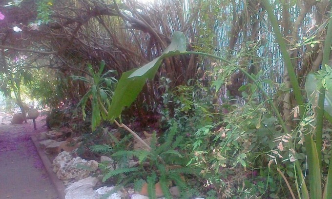 Kokhav Ya'ir House | Center Israel unit Immersed in the greenery