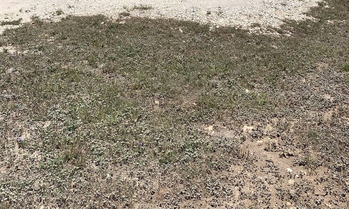 Center Point Cabin | Center Point, Kerrville, Bandera, Fredricksburg centrally located