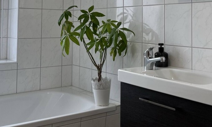 Magdeburg Apartment | Central apartment in Magdeburg with Netflix and kitchen WE18
