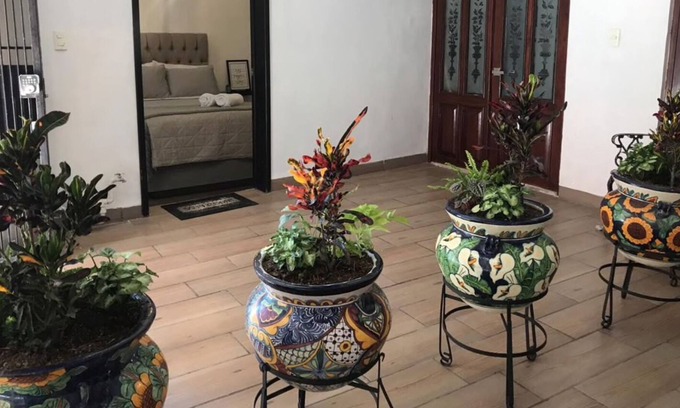 Aguascalientes Apartment | CENTRAL, BEAUTIFUL AND MODERN ROOM