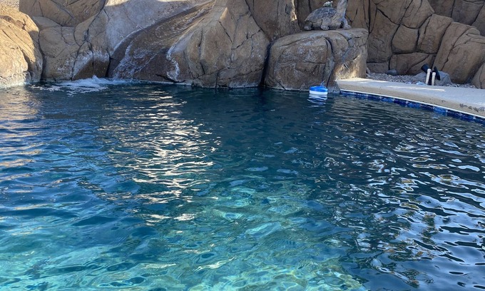 Lake Havasu City House | Central Lake Havasu home - pool and water slide!