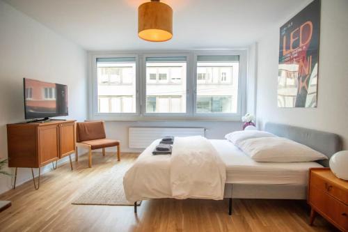 Basel Apartment | Central Studio Apartment with free BaselCard - Magritte