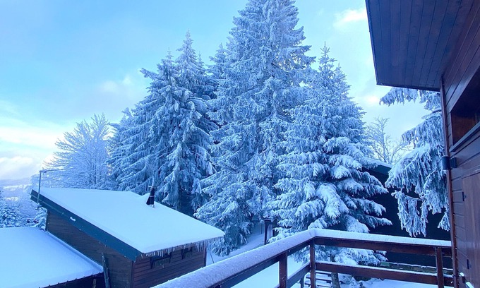 Aix-les-Bains Ski Chalet | CHALET AMID SNOW-COVERED FIR TREES