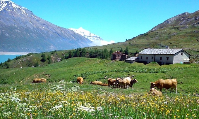 Lanslebourg-Mont-Cenis Ski Chalet | Chalet D'alpage à 2000 Mètres D'altitude L'été au lac du Mont-cenis en Savoie
