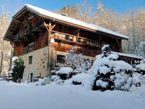 Araches-la-Frasse Ski Chalet | Chalet de Creytoral
