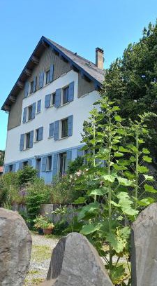 Luz-Saint-Sauveur Apartment | Chalet du Doumet - Appart LUZ centre - parking et garage individuel ferme - draps et serviettes inclus