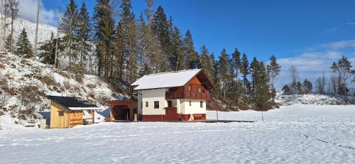 Aich House | Chalet Lärchforst