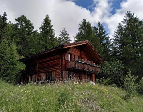 Bellwald Apartment | Chalet Luisa