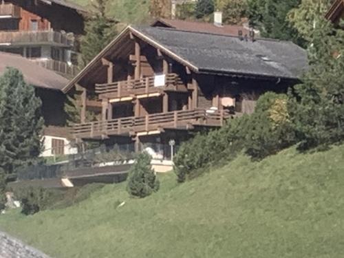 Hasliberg Wasserwendi Apartment | Chalet Orchis