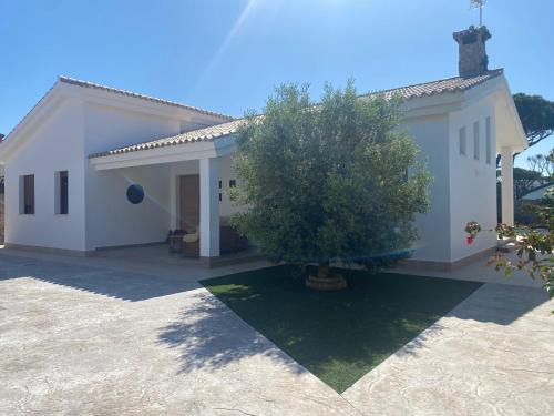 Los Gallos-Cerromolino House | Chalet Real Santé