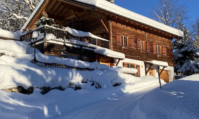 Buerserberg Apartment | Chalet Tschengla in Brandnertal