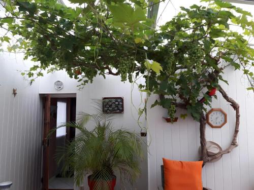 Ars-en-Re Bed & Breakfast | Chambre D'hôtes