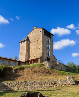 Montegut Bed & Breakfast | Chambre Rustique du Château Montegut Vue sur les Pyrénées