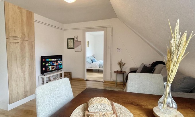 Mulhouse Apartment | CHARME D'ANTAN, proche gare Dornach