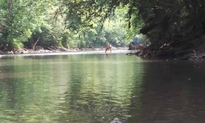 Hudson Cabin | Charming 2-bedroom cabin in Big Clifty with WiFi, AC
