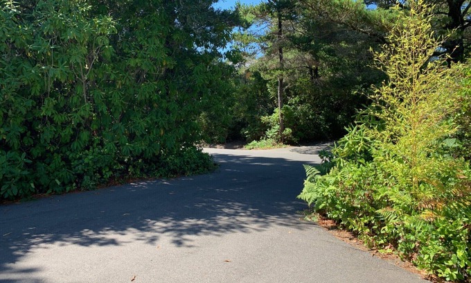 Florence Cottage | Charming 2-bedroom cottage near Heceta Beach