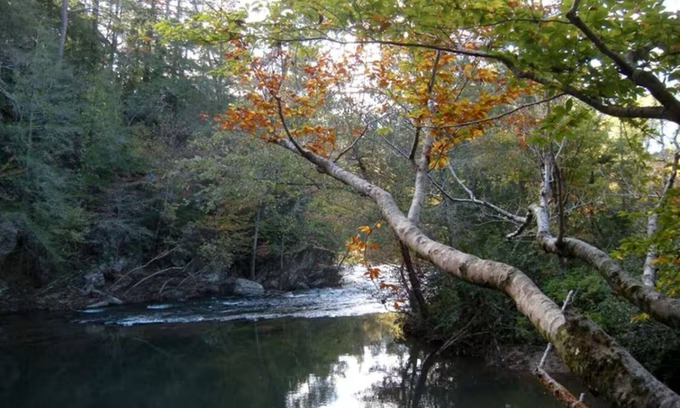 Reliance Cottage | Charming 2-bedroom cottage right on a 30’ wide whitewater creek in Reliance, TN