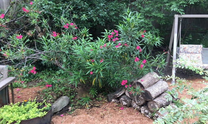 Richardson House | Charming 2-bedroom house with WiFi, AC in delightful Richardson