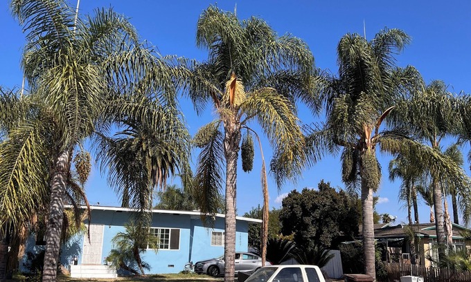 Valinda House | Charming 2-bedroom house in delightful La Puente with WiFi, fitness equipment