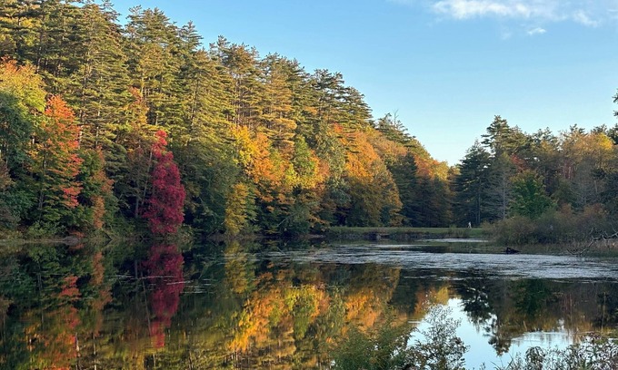 Guilford House | Charming 2BR semi-rural home in Southern VT - amazing setting & modern amenities