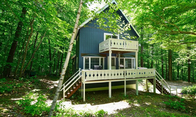 Eidelweiss Village House | Charming 4-Season Getaway w/Outdoor Fire Pit & Basement Game Room!