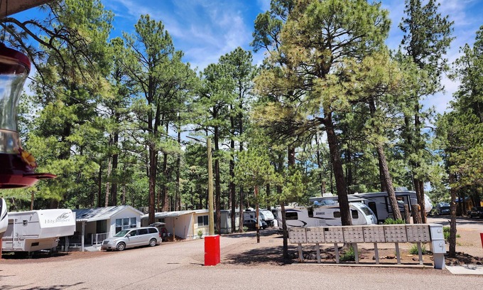 Show Low Cabin | Charming cabin with WiFi and AC in delightful Show Low