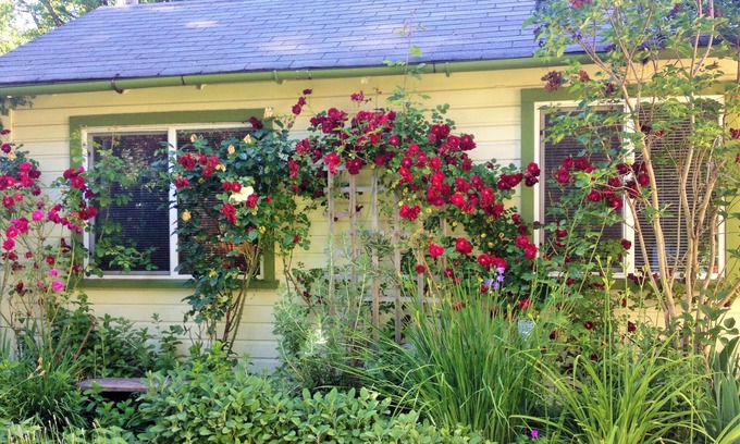 Whiteaker Cottage | Charming Cottage by CosiDesign
