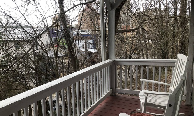East End - Valley Street House | Charming Cottage Overlooking Downtown AVL