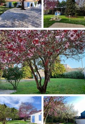 Aytre House | Charming house