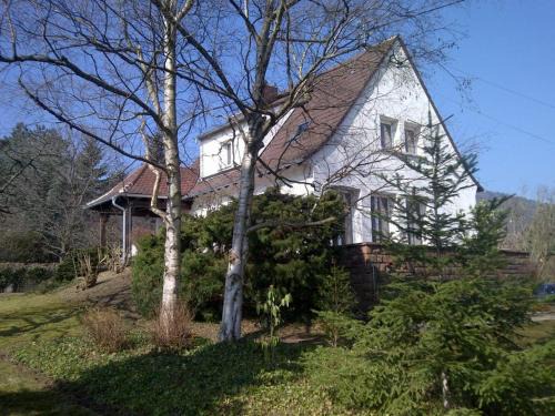 Riquewihr Villa | Charming house in Riquewihr, Alsace