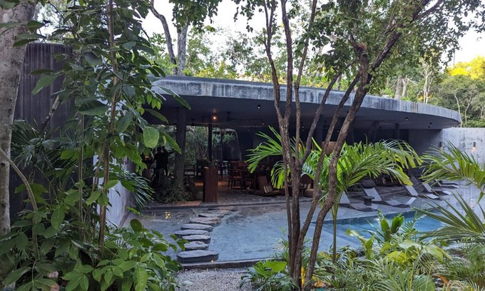 Zama Apartment | Charming Jungle Apartment in Luum Zama with Pool By Yeah