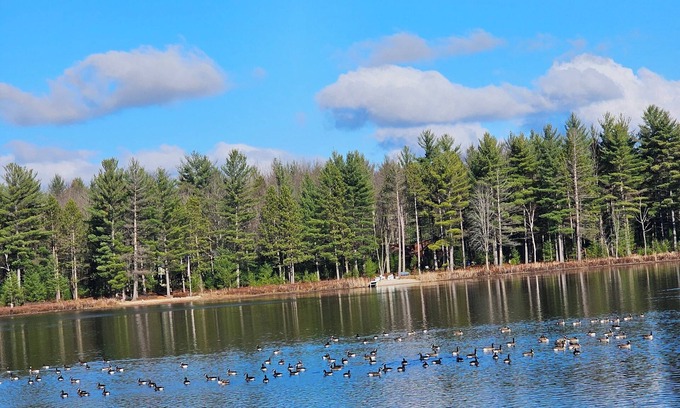 Moorestown Cottage | Charming Lakefront Cottage with WiFi and AC