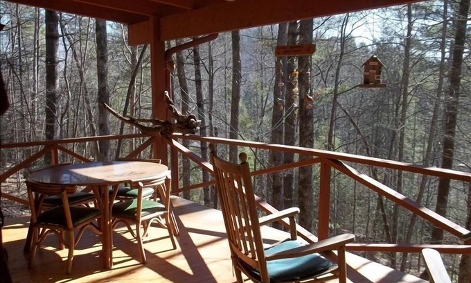 Brevard Cottage | Charming Sherwood Forest Cottage overlooking Trout Lake