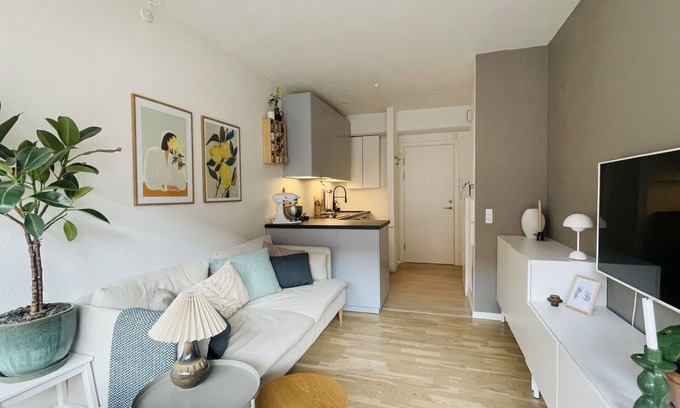 Copenhagen Apartment | City Apartment in Copenhagen with 1 bedrooms sleeps 2