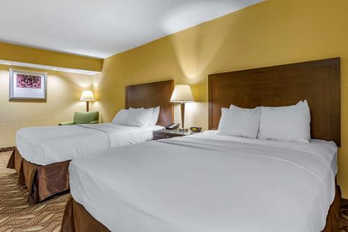 Roswell Hotel | Clarion Inn & Suites Roswell