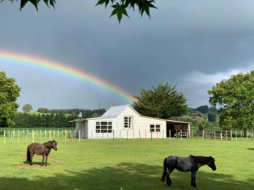 Ohingaiti House | Cliff Top Cottage
