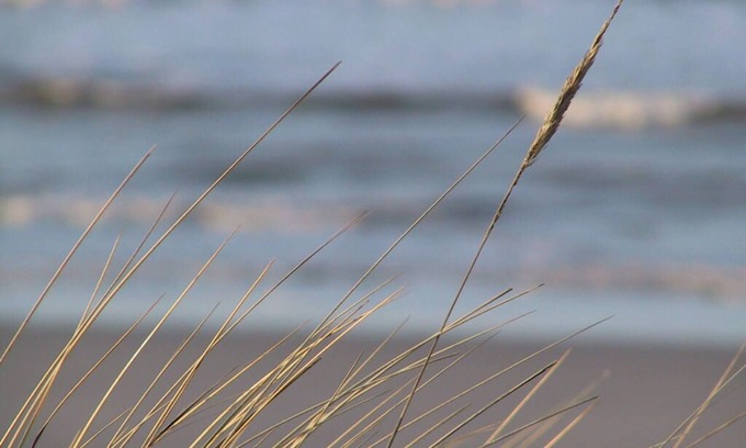 Wangerooge Apartment | close to the beach and family friendly