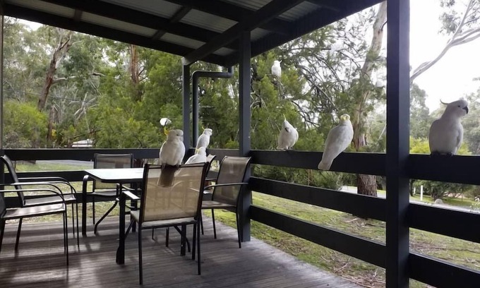 Halls Gap House | Cockatoo Cabin in Halls Gap