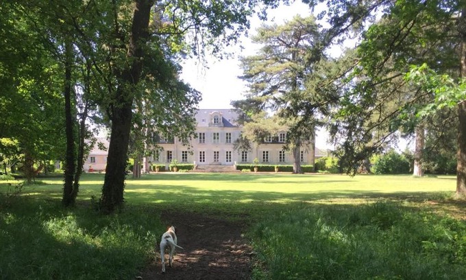 Cande-sur-Beuvron Bed & Breakfast | COLIVAULT