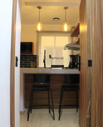 Roma Norte Apartment | Coliving Roma Norte Loft Alondra